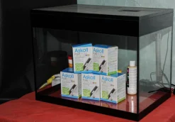 Acquario Askoll