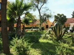 #25696 AFFITTO di azienda alberghiera a Marinella di Selinunte