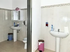 #25038 Affitto di stabilimento produttivo