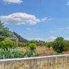 #24703 AFFITTO -Terreno agricolo di68888 mq