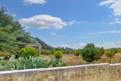 #24703 AFFITTO -Terreno agricolo di68888 mq
