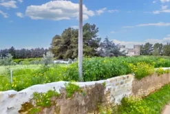 #24703 AFFITTO -Terreno agricolo di68888 mq