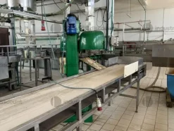 31#9550 Aggraffatrice con nastro di cernita a tappeto