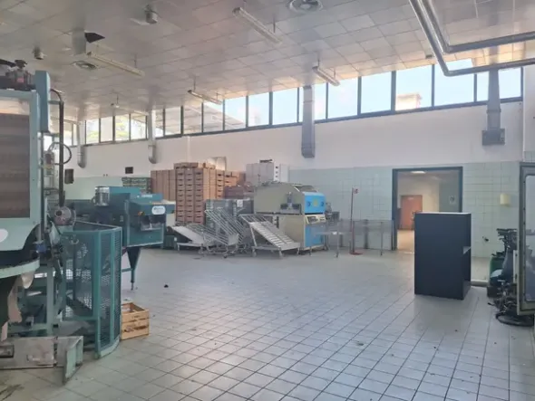#2537116 Ampio capannone industriale con abitazione