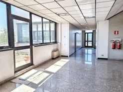 #2534002 Ampio complesso industriale a Jesi