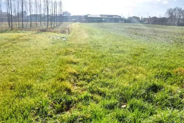 #2531004 Appezzamenti di terreno di 12.973 mq