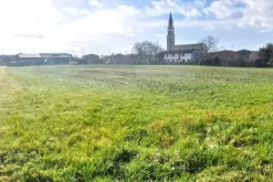 #2531004 Appezzamenti di terreno di 12.973 mq