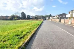 #2531004 Appezzamenti di terreno di 12.973 mq