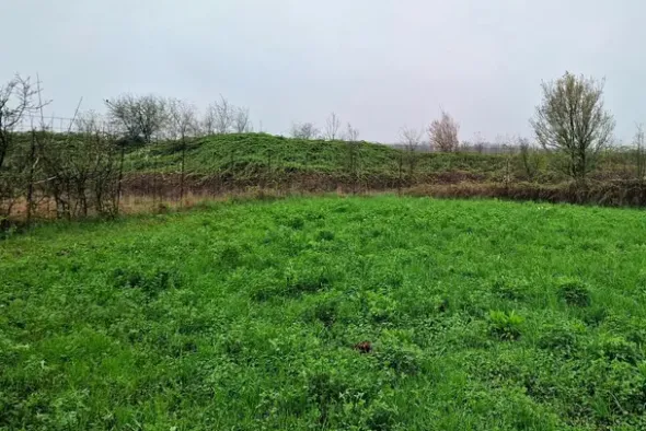 #23330 Appezzamenti edificabili residenziali incolti