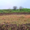 #23330 Appezzamenti edificabili residenziali incolti