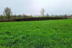 #23330 Appezzamenti edificabili residenziali incolti