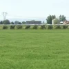 #2639197 Appezzamento agricolo adibito seminativo