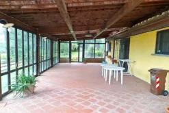 #23461 Appezzamento agricolo collinare e annessi rurali