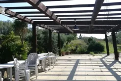 #23461 Appezzamento agricolo collinare e annessi rurali