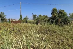 #23010 Appezzamento agricolo con accesso strada