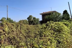 #23010 Appezzamento agricolo con accesso strada