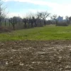 #25332 Appezzamento agricolo in area tutelata
