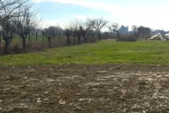 #25332 Appezzamento agricolo in area tutelata