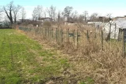 #25332 Appezzamento agricolo in area tutelata