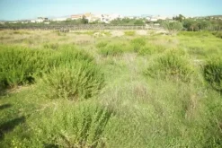 #2638306 Appezzamento agricolo incolto di 9960 mq