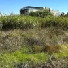 #24554 Appezzamento agricolo incolto di 1178 mq