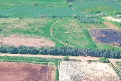 #2638529 Appezzamento agricolo in periferia rurale