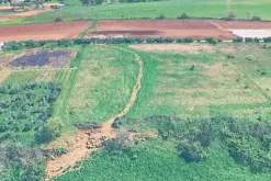 #2638529 Appezzamento agricolo in periferia rurale