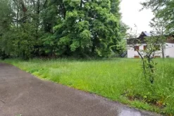 #24385 Appezzamento agricolo in zona collinare