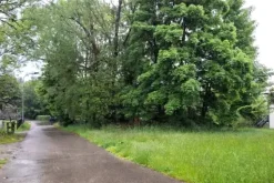 #24385 Appezzamento agricolo in zona collinare