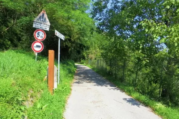 #20925 Appezzamento boschivo collinare di 440 mq