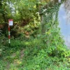 #20928 Appezzamento boschivo collinare di 14980 mq