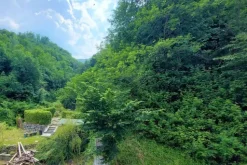 #20928 Appezzamento boschivo collinare di 14980 mq