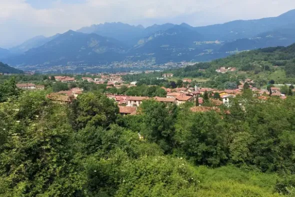 #20928 Appezzamento boschivo collinare di 14980 mq