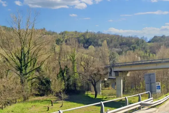 #20968 Appezzamento boschivo in zona collinare