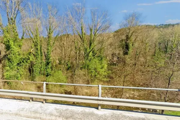#20968 Appezzamento boschivo in zona collinare