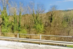 #20968 Appezzamento boschivo in zona collinare