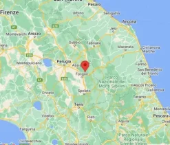 #20968 Appezzamento boschivo in zona collinare