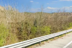 #20968 Appezzamento boschivo in zona collinare
