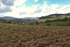 #21538 Appezzamento con ex cava di argilla
