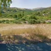 #21270 Appezzamento di terreno di 4319 mq