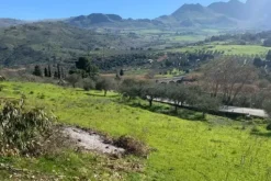 #21270 Appezzamento di terreno di 4319 mq