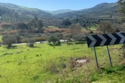 #21270 Appezzamento di terreno di 4319 mq