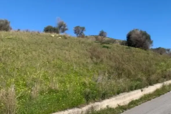 #21270 Appezzamento di terreno di 4319 mq