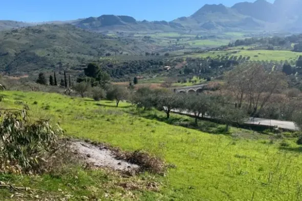 #21270 Appezzamento di terreno di 4319 mq