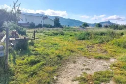 #2519021 Appezzamento di terreno e fabbricati rurali