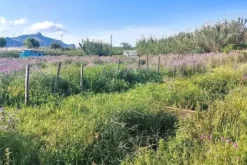 #2519021 Appezzamento di terreno e fabbricati rurali