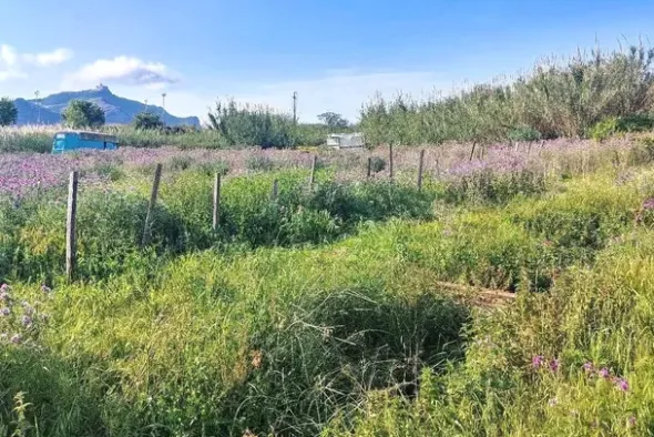 #2519021 Appezzamento di terreno e fabbricati rurali