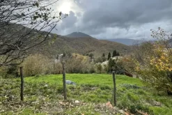 #23432 Appezzamento di terreno montano di 750 mq