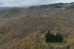 #23432 Appezzamento di terreno montano di 750 mq