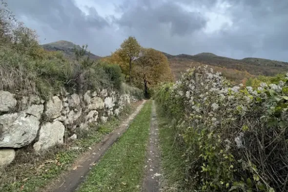 #23432 Appezzamento di terreno montano di 750 mq